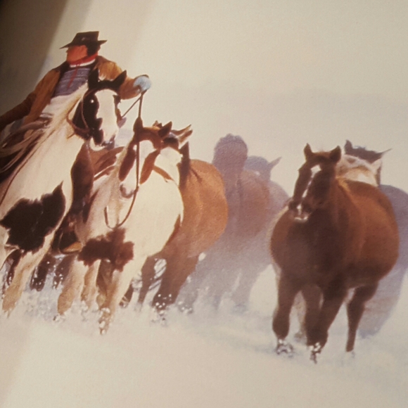 HORSES CUBE BOOK EXCELLENT CONDITION - Picture 10 of 12